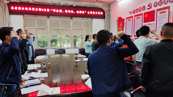 洞口县政府办机关党支部召开5月份“学条例、转作风、树形象”主题党日活动_邵阳头条网