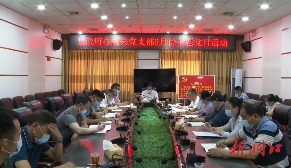 洞口县政府办机关党支部举行6月主题党日活动_邵阳头条网