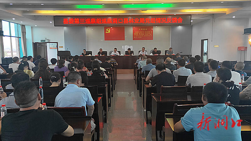 洞口县委第三巡察组召开巡察洞口县林业局党组情况反馈会_邵阳头条网