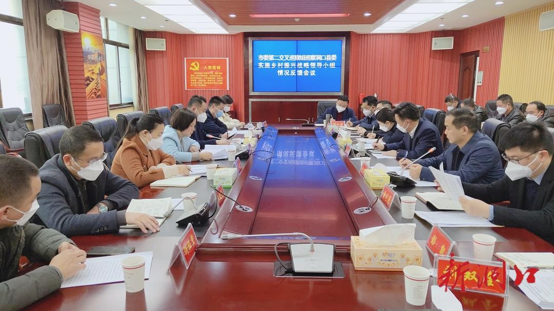 市委第二交叉巡察组向洞口县委实施乡村振兴战略领导小组反馈巡察情况_邵阳头条网