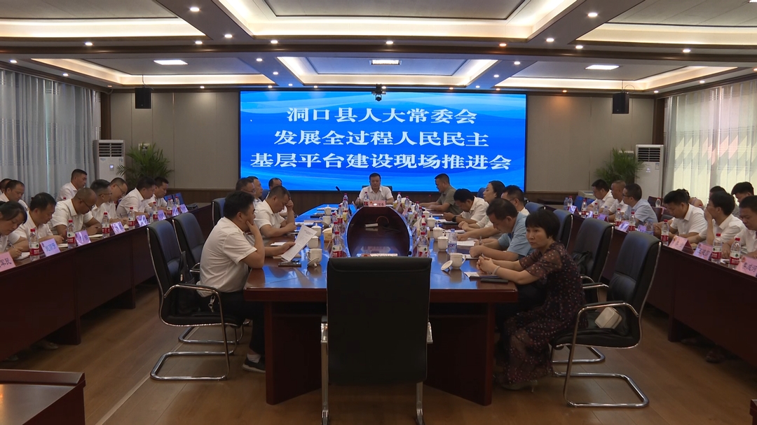 洞口县召开发展全过程人民民主基层平台建设现场推进会_邵阳头条网