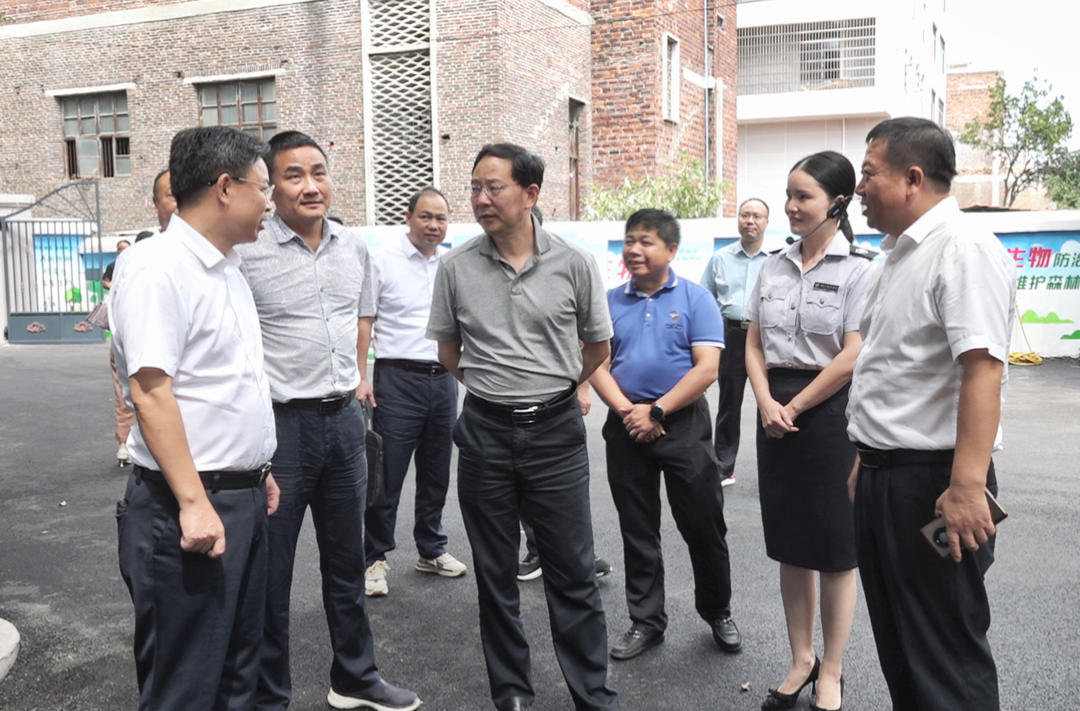 省林业局来洞口县调研林长制工作_邵阳头条网