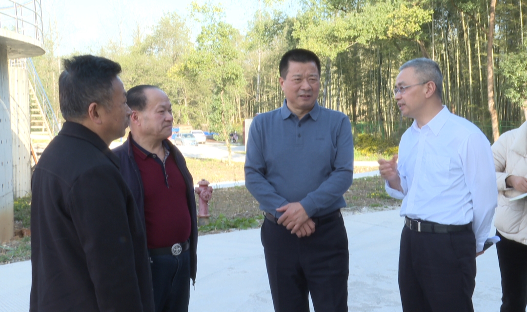 以守护好一江碧水理念 推动生态环境大保护——蒋志刚率队来洞口县调研生态环境保护工作_邵阳头条网