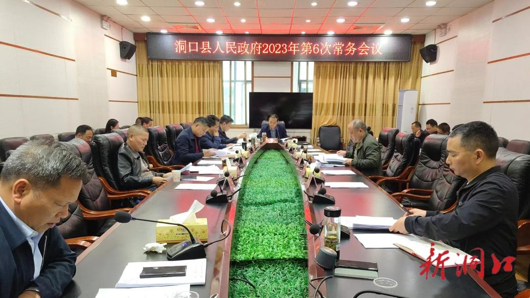 贺永亮主持召开洞口县政府2023年第6次常务会议_邵阳头条网