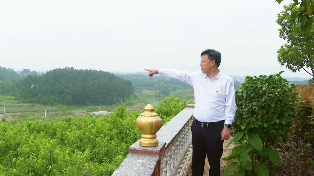 洞口县委理论学习中心组举行2023年第五次集体（扩大）学习_邵阳头条网