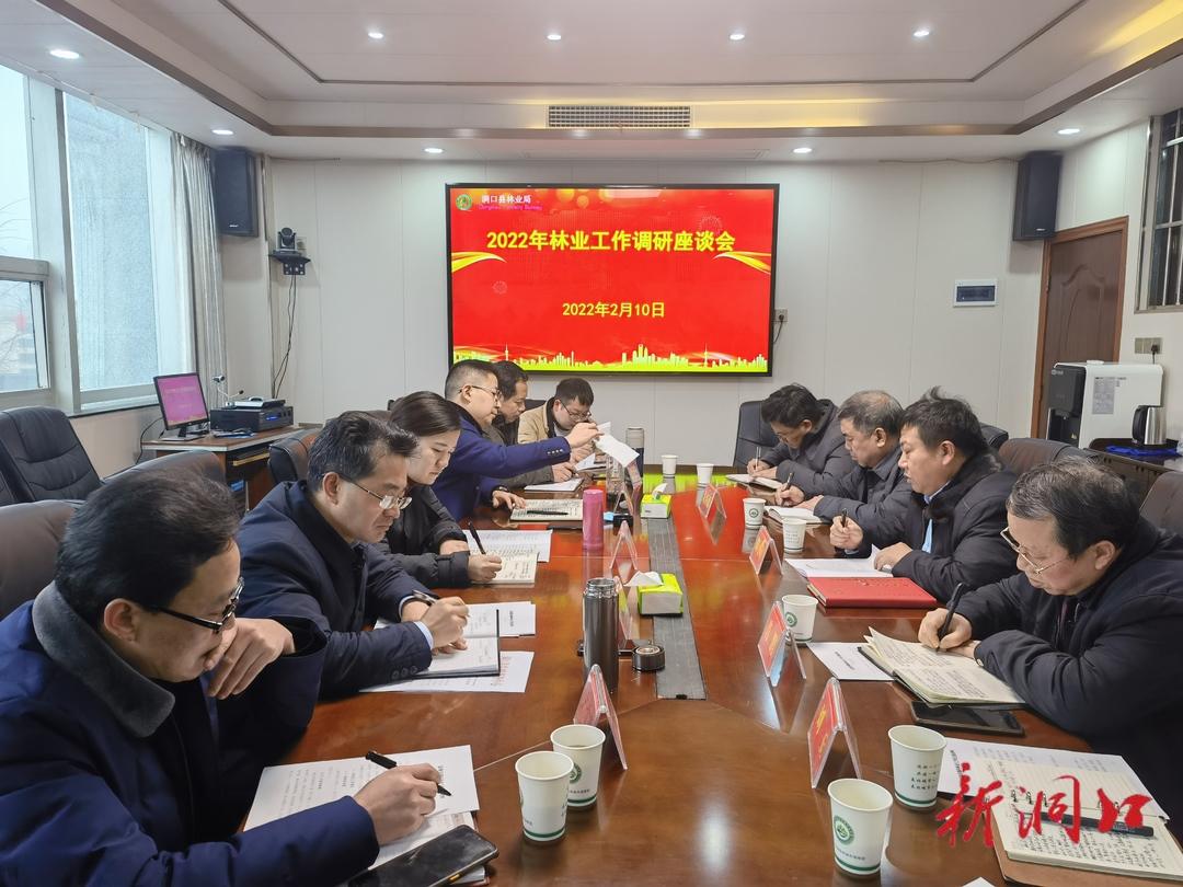 郭向荣调研洞口县林业工作_邵阳头条网