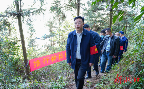吴韬到大湾林场和月溪林场开展巡林工作_邵阳头条网