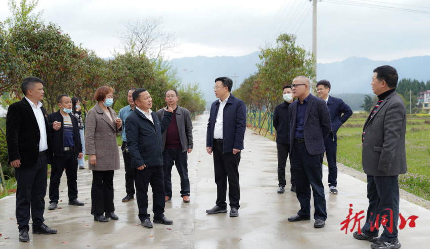 吴韬、贺永亮带队开展巡田：守住耕地保护红线 不误农时抓好春耕生产_邵阳头条网
