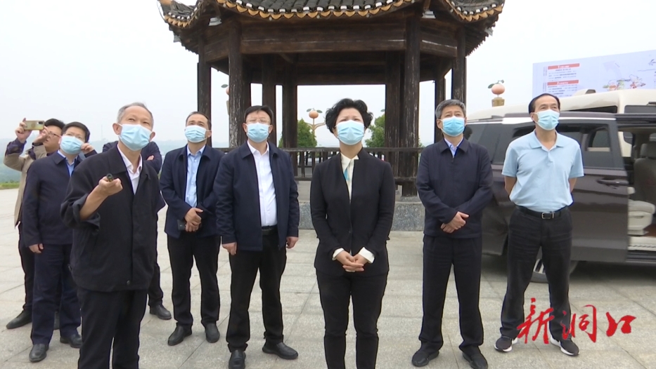 省委常委、副省长张迎春来洞口调研_邵阳头条网