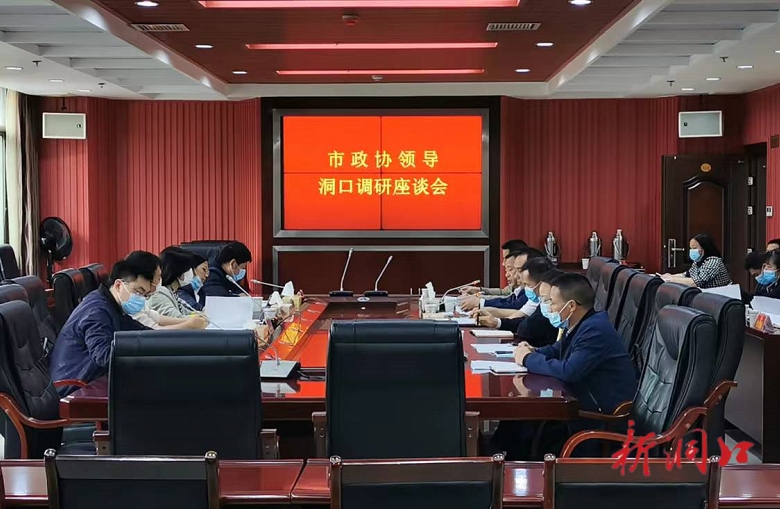 段雪梅到洞口调研政协委员工作室建设和政协云工作开展情况_邵阳头条网