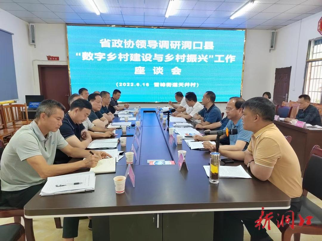 省政协调研组调研洞口县数字乡村建设与乡村振兴工作_邵阳头条网