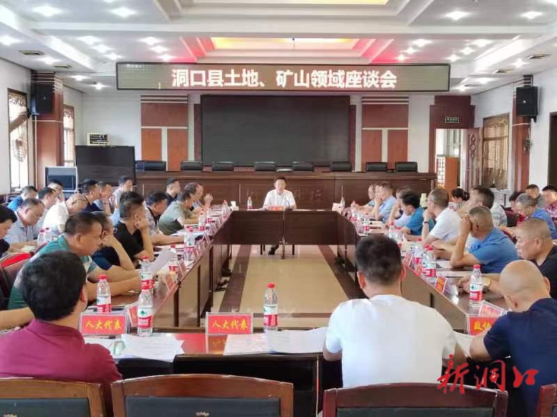 吴韬主持召开洞口县土地矿山领域座谈会_邵阳头条网