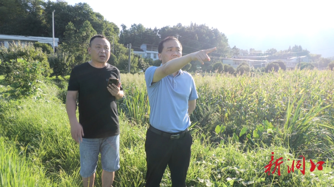贺永亮带队到文昌街道平青村开展巡田_邵阳头条网