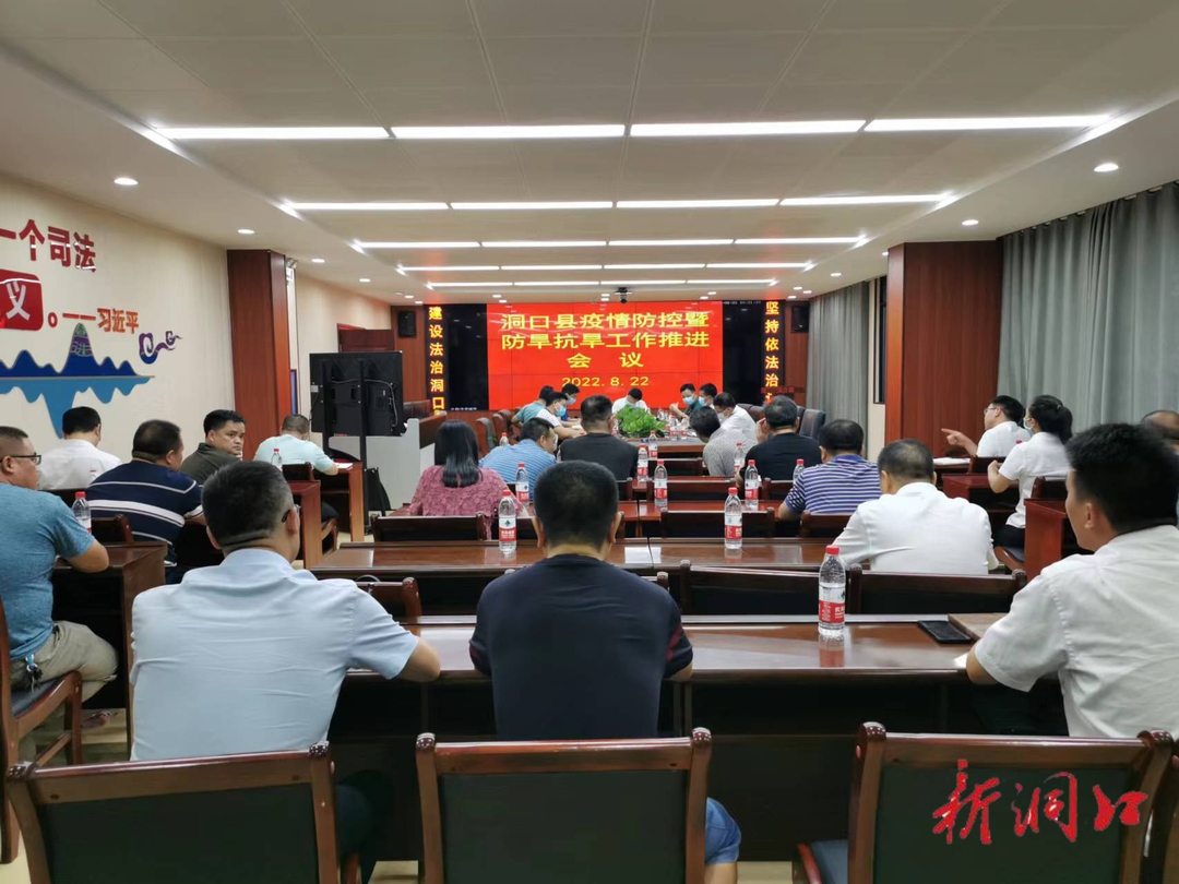 洞口县疫情防控暨防旱抗旱工作推进会召开_邵阳头条网