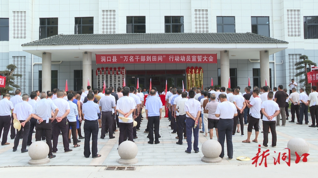 洞口县举行“万名干部到田间”行动动员宣誓大会_邵阳头条网