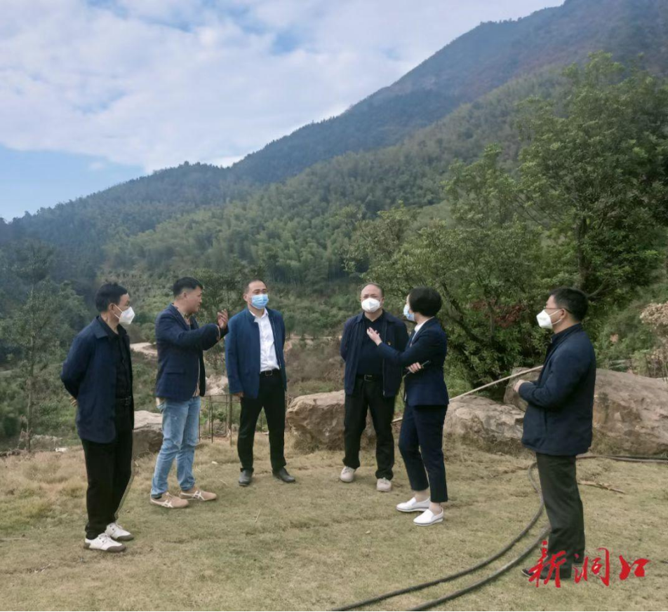 贺永亮调研长征国家文化公园（洞口段）规划建设工作_邵阳头条网