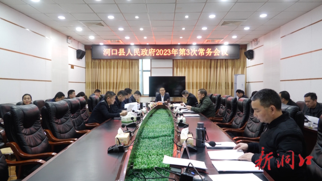 贺永亮主持召开洞口县人民政府2023年第三次常务会议_邵阳头条网