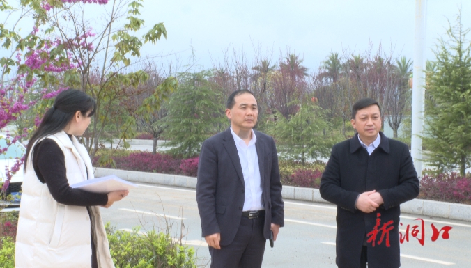 贺永亮督导省级卫生洞口县城迎复审工作开展情况_邵阳头条网