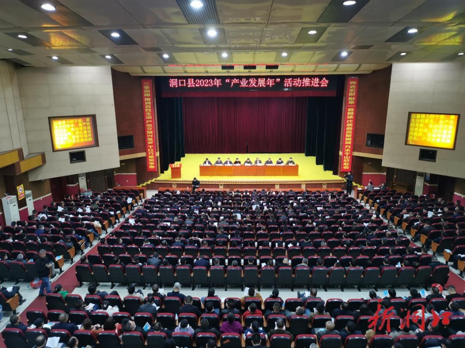 洞口县2023年“产业发展年”活动推进会召开_邵阳头条网