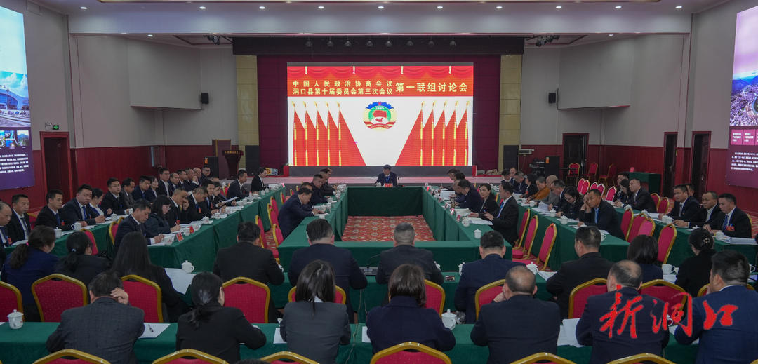 吴韬参加政协洞口县第十届委员会第三次会议第一联组讨论_邵阳头条网