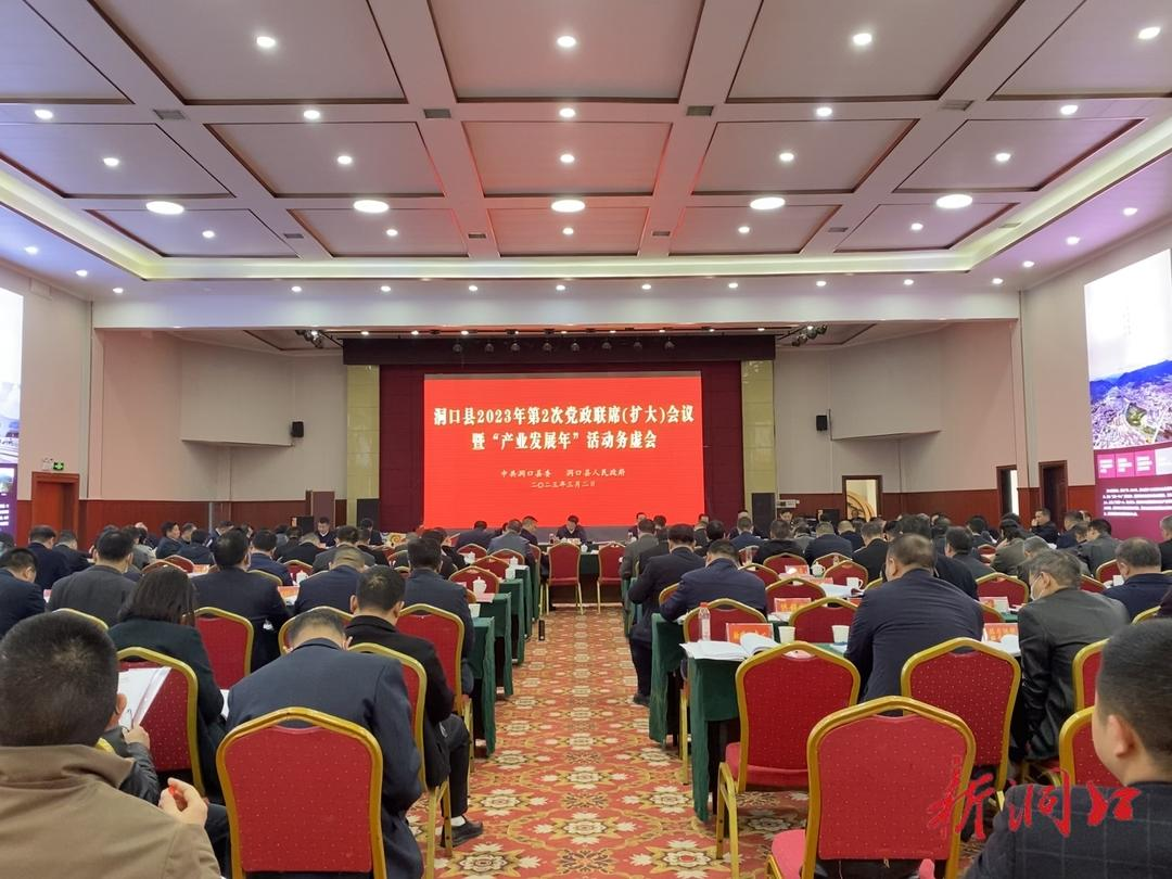 洞口县召开2023年第2次党政联席（扩大）会议暨“产业发展年”活动务虚会_邵阳头条网