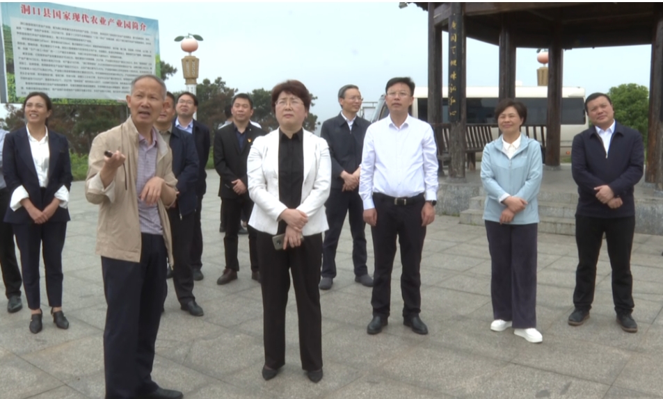 周迎春率调研组来洞口县调研全面推进乡村振兴工作_邵阳头条网