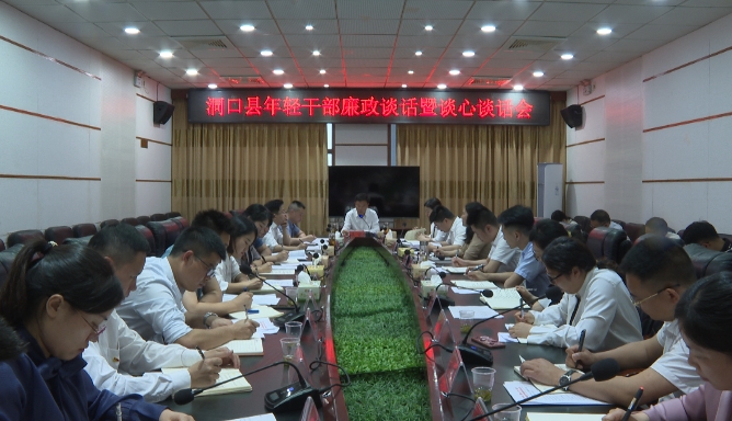 洞口县召开年轻干部廉政谈话暨谈心谈话会_邵阳头条网