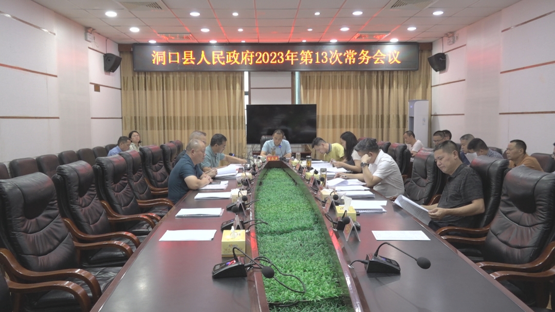 贺永亮主持召开洞口县人民政府2023年第13次常务会议_邵阳头条网