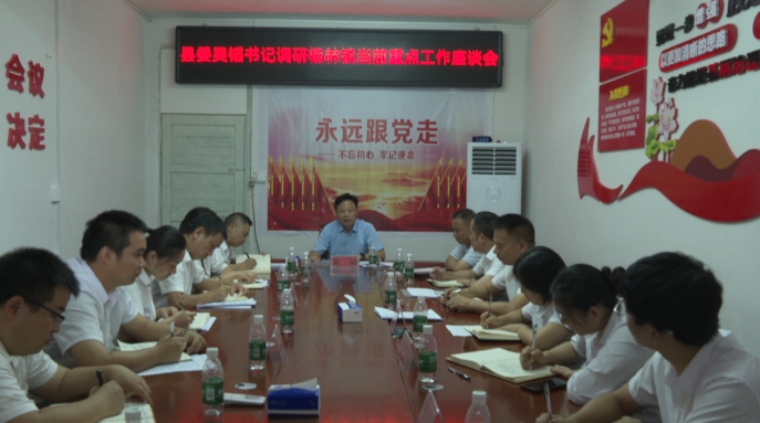 吴韬到杨林镇调研当前重点工作_邵阳头条网