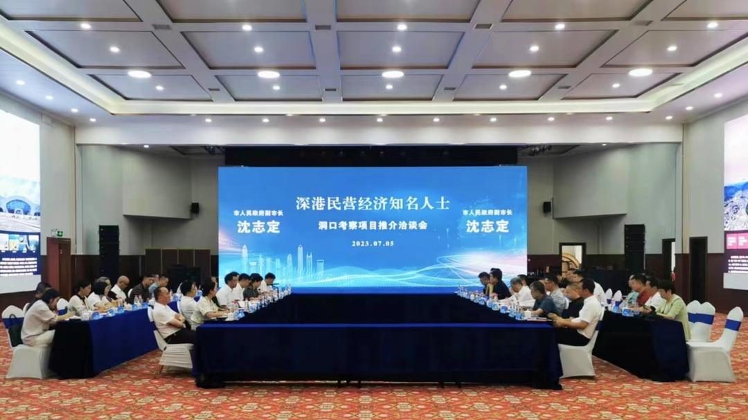 洞口县与深港民营企业家考察团举行考察项目推介洽谈会_邵阳头条网