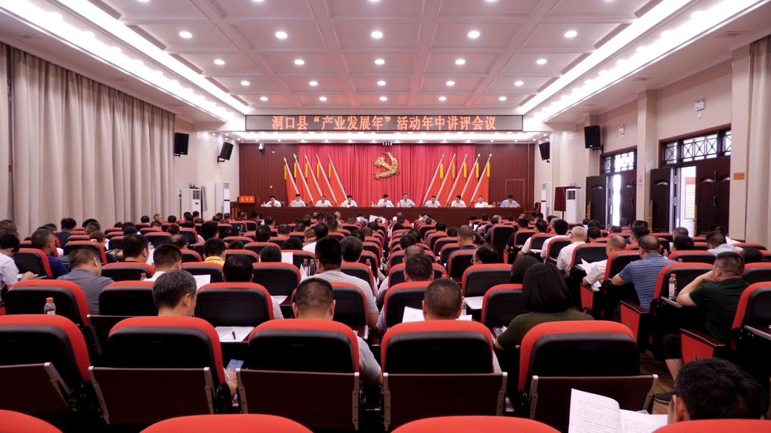 洞口县召开“产业发展年”活动年中讲评会_邵阳头条网