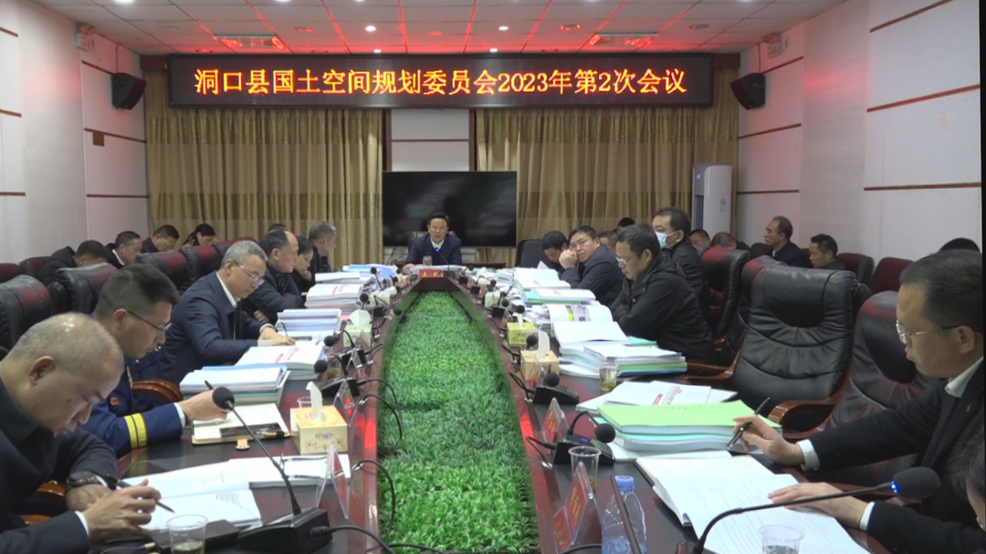 吴韬主持召开洞口县国土空间规划委员会2023年第2次会议_邵阳头条网
