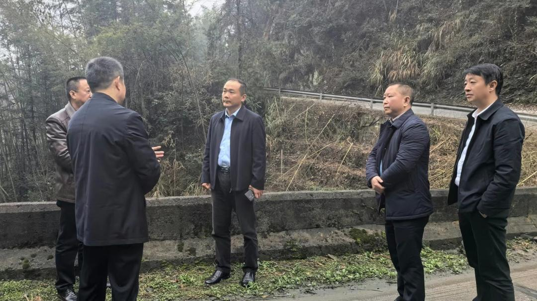 贺永亮调研乡镇重点项目建设和产业发展情况_邵阳头条网