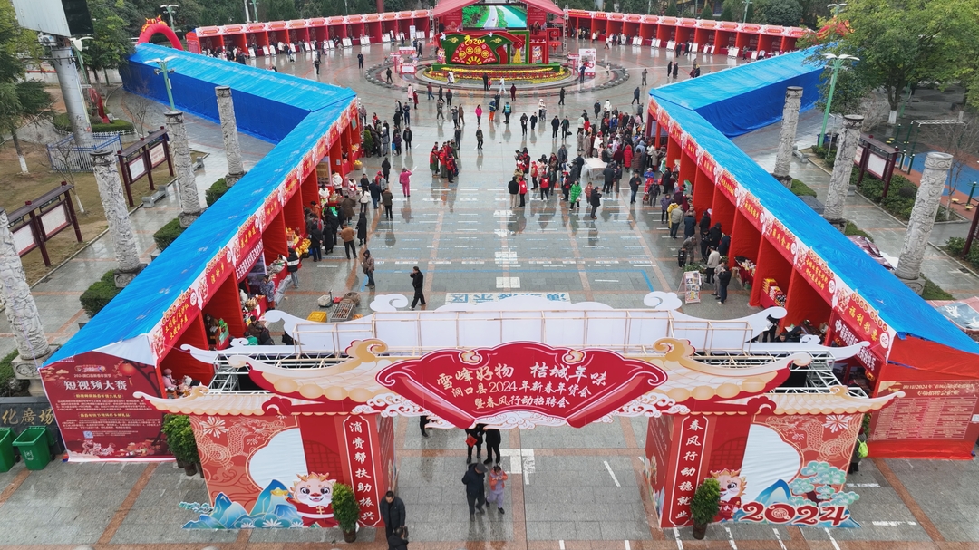 “雪峰好物 桔城年味”——洞口县启动2024年促消费稳就业助力乡村振兴新春年货节暨春风行动招聘会_邵阳头条网