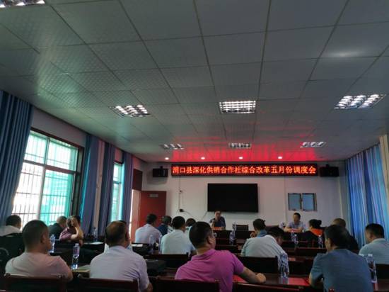 洞口县召开深化供销合作社综合改革五月份调度会(图1)
