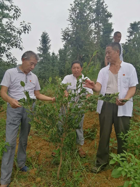 一颗红心永向党——洞口县离退休干部党员多种形式庆祝建党99周年(图2)