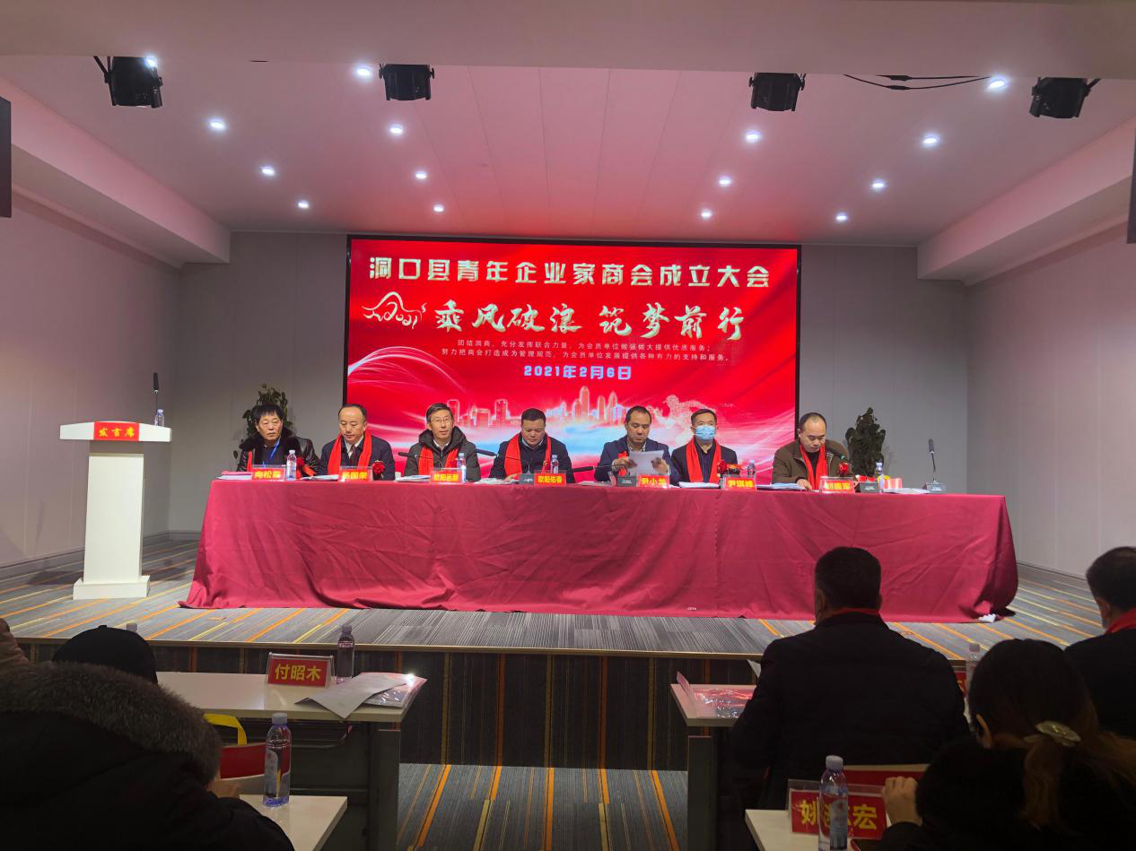 乘风破浪 筑梦前行——洞口县青年企业家商会正式成立(图1)