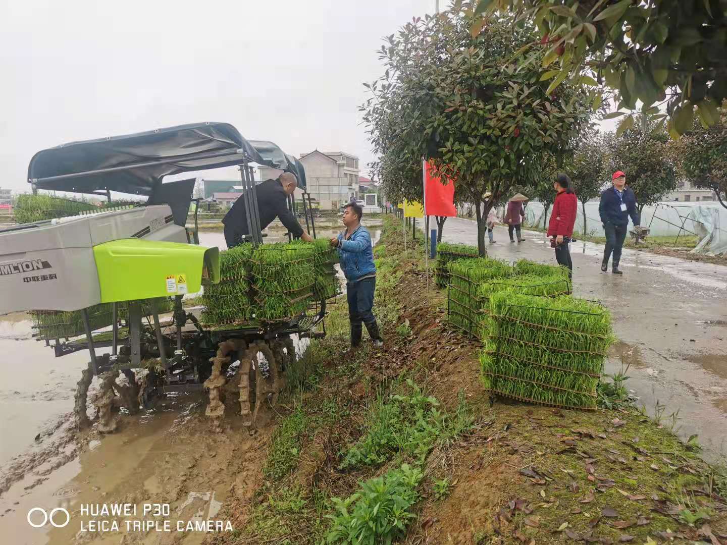 洞口县农机事务中心：举办“粮食生产全程机械化示范演示”(图2)