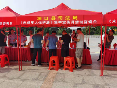 洞口县司法局参加《未成年人保护法》集中宣传月活动(图3)