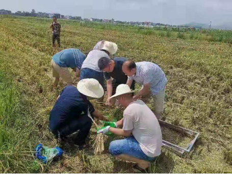 县农机事务中心开展“双抢”机收减损培训指导(图2)