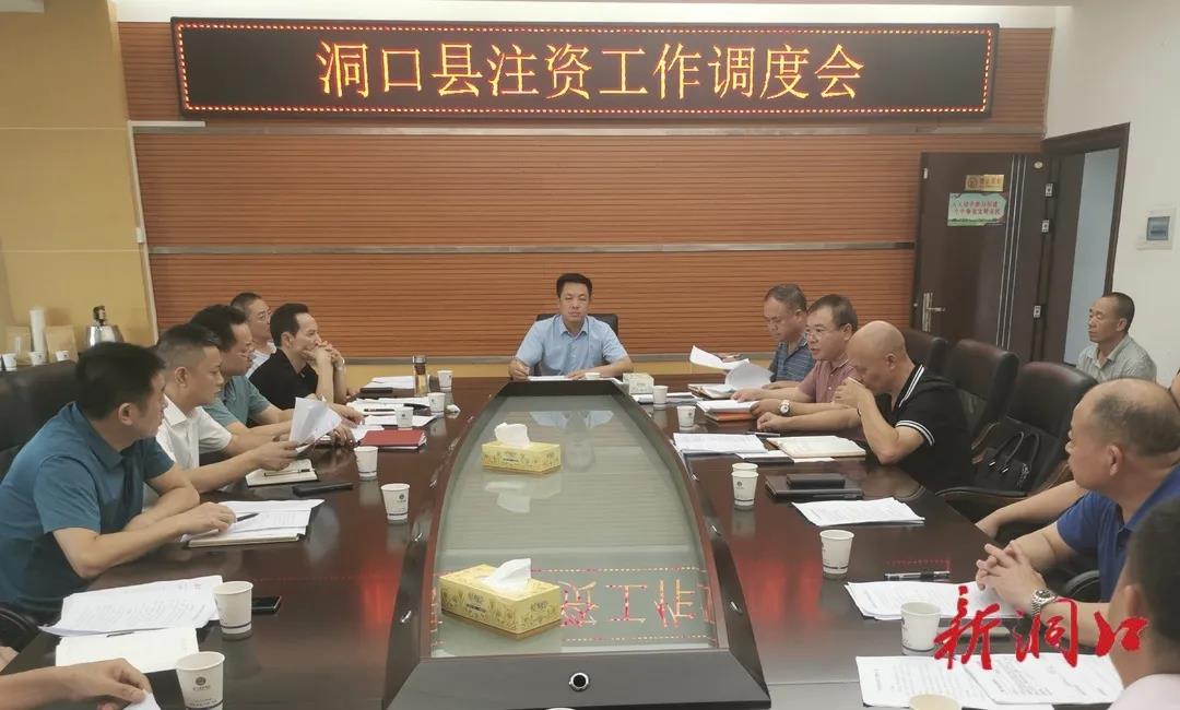 杨云龙组织召开洞口县注资工作调度会议(图1)