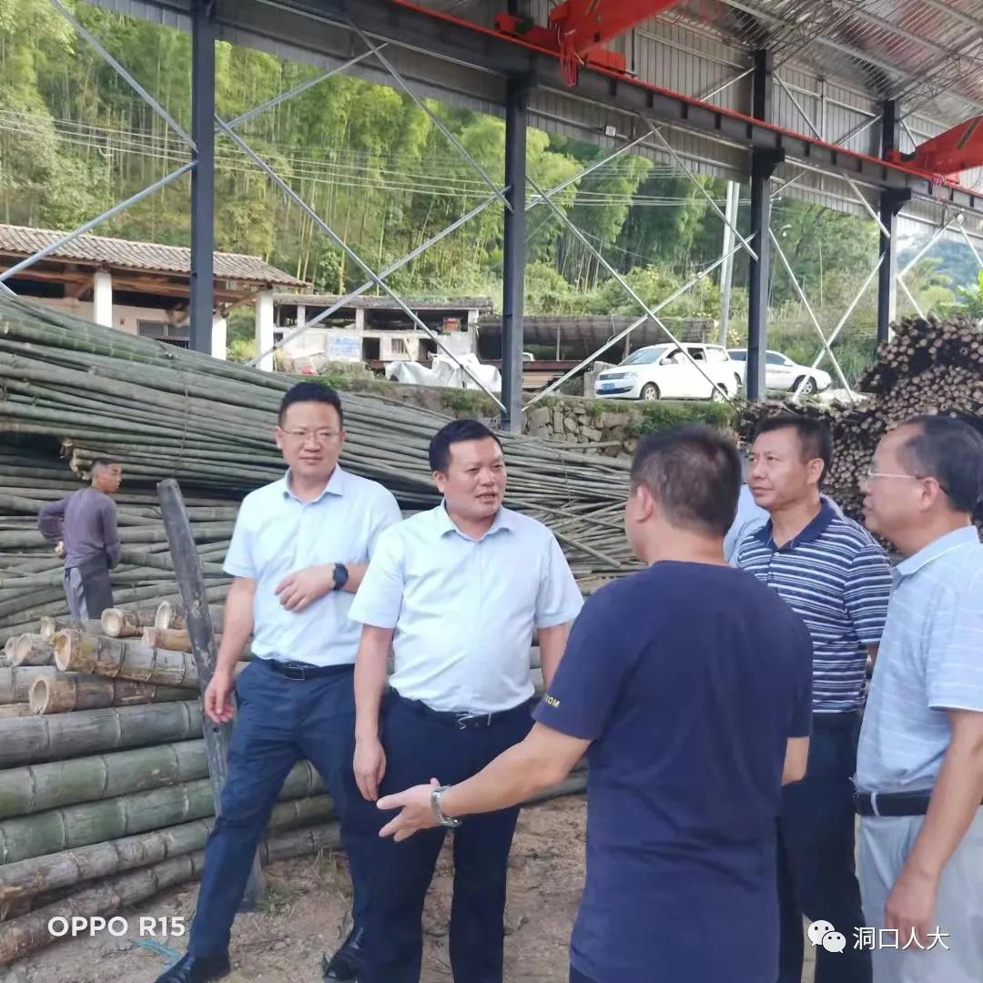 欧阳佑春到罗溪瑶族乡调研检查当前重点工作(图1)