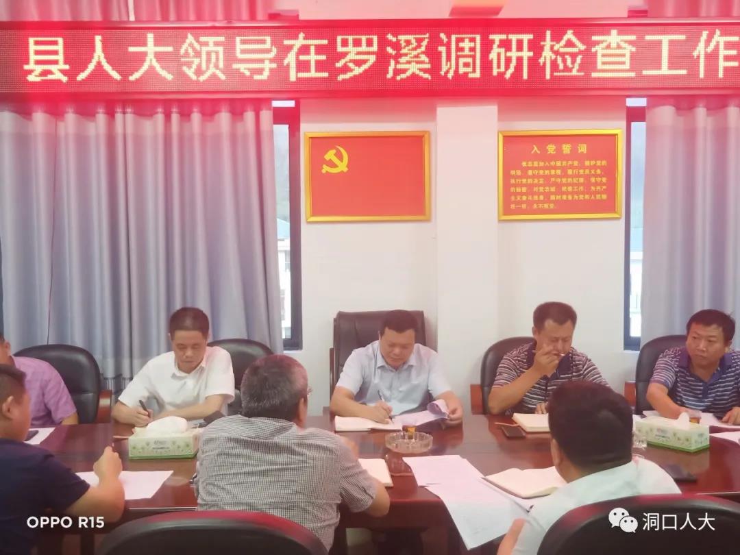欧阳佑春到罗溪瑶族乡调研检查当前重点工作(图2)