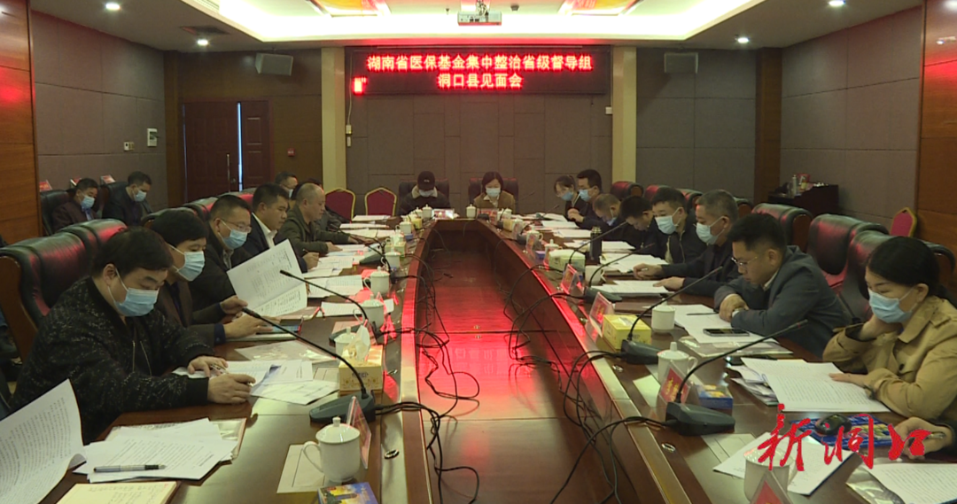 湖南省医保基金集中整治省级督导组洞口县见面会召开(图1)
