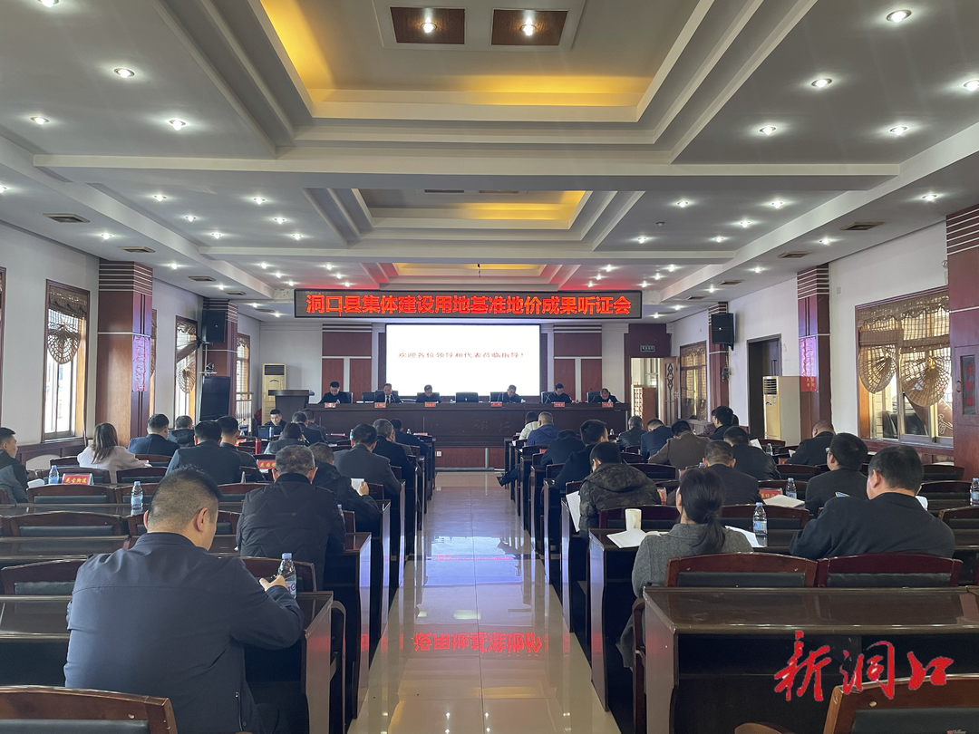 洞口县召开集体建设用地基准地价成果听证会(图1)