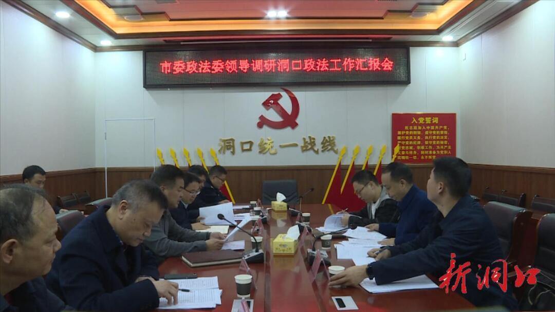 市委政法委来洞口县调研政法工作(图1)