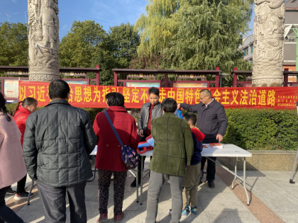 洞口县开展“12.4”国家宪法日集中宣传活动(图1)