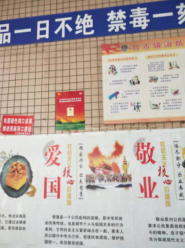 洞口县开展“12.4”国家宪法日集中宣传活动(图10)