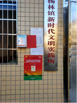 洞口县开展“12.4”国家宪法日集中宣传活动(图9)