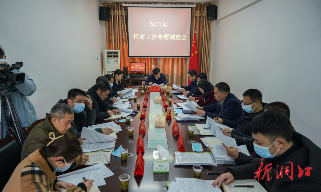 洞口县召开招商工作专题调度会(图1)